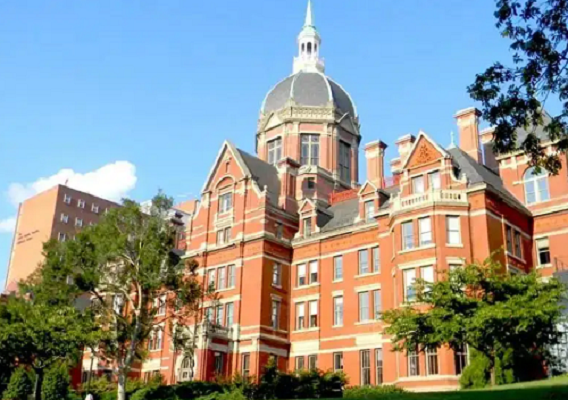 班戈大學畢業論文輔導